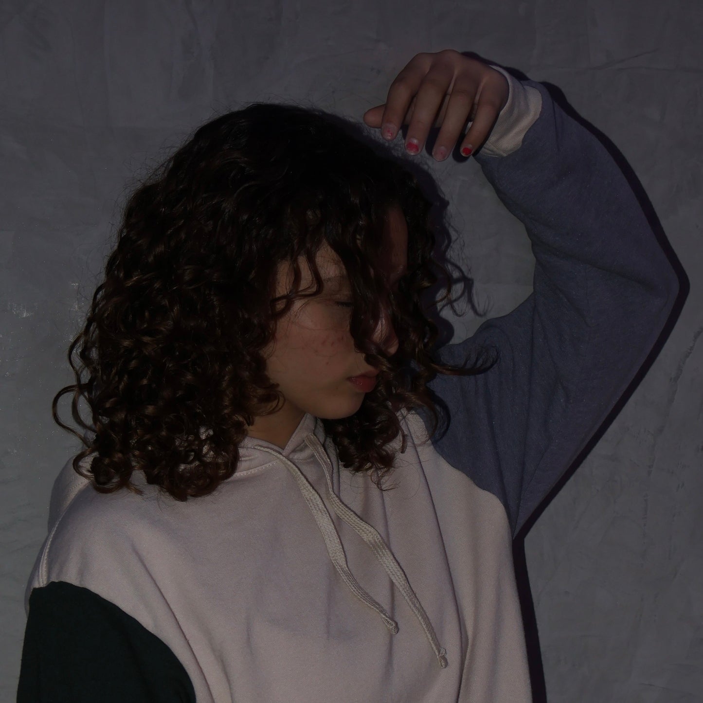 Picnic Hoodie