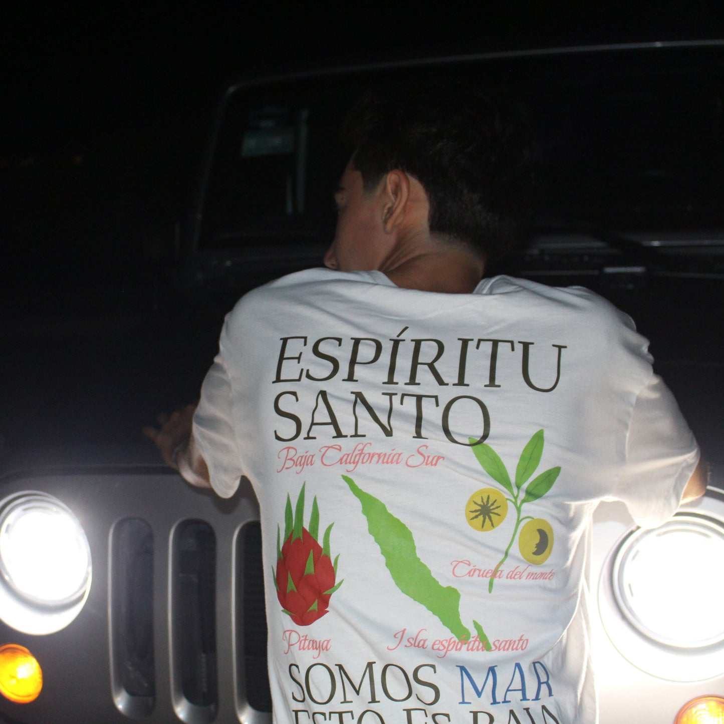 Espiritu Santo T-Shirt