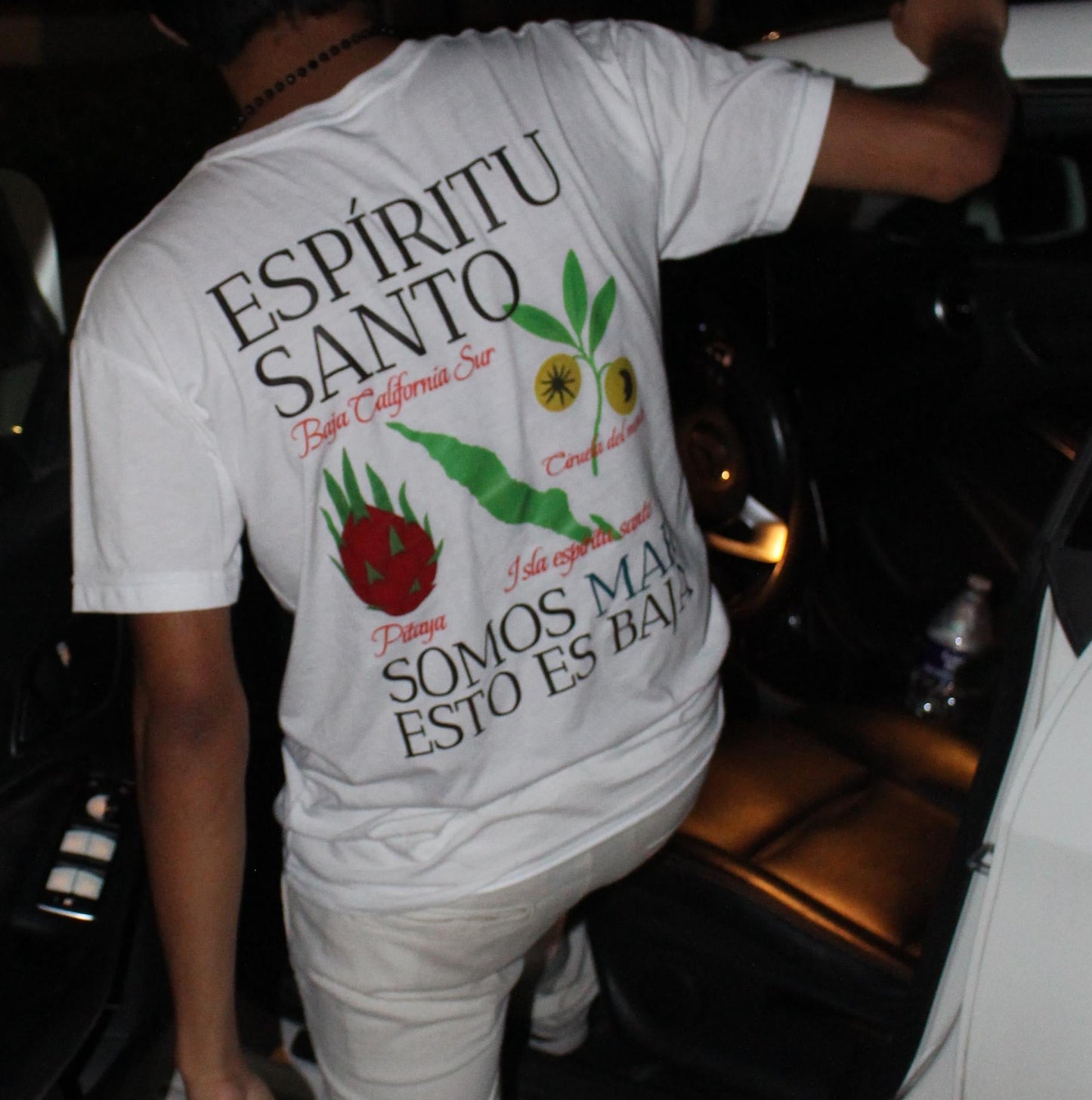 Espiritu Santo T-Shirt