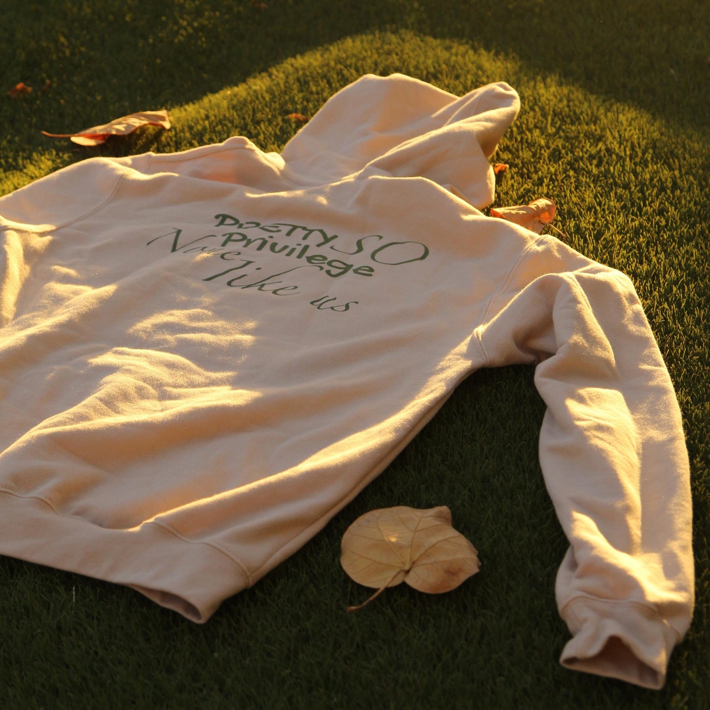 Pretty Privilege Hoodie