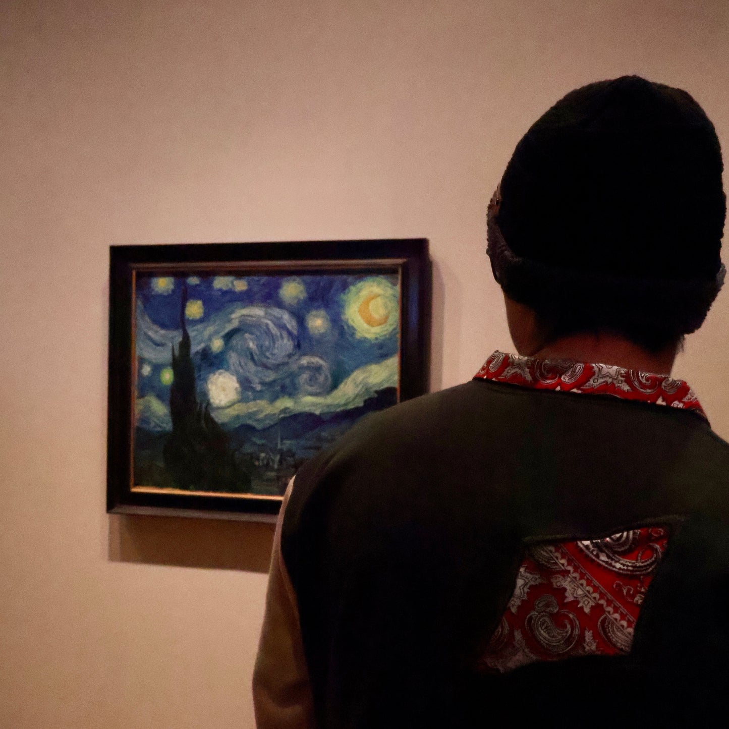 Paliacate neck pull over