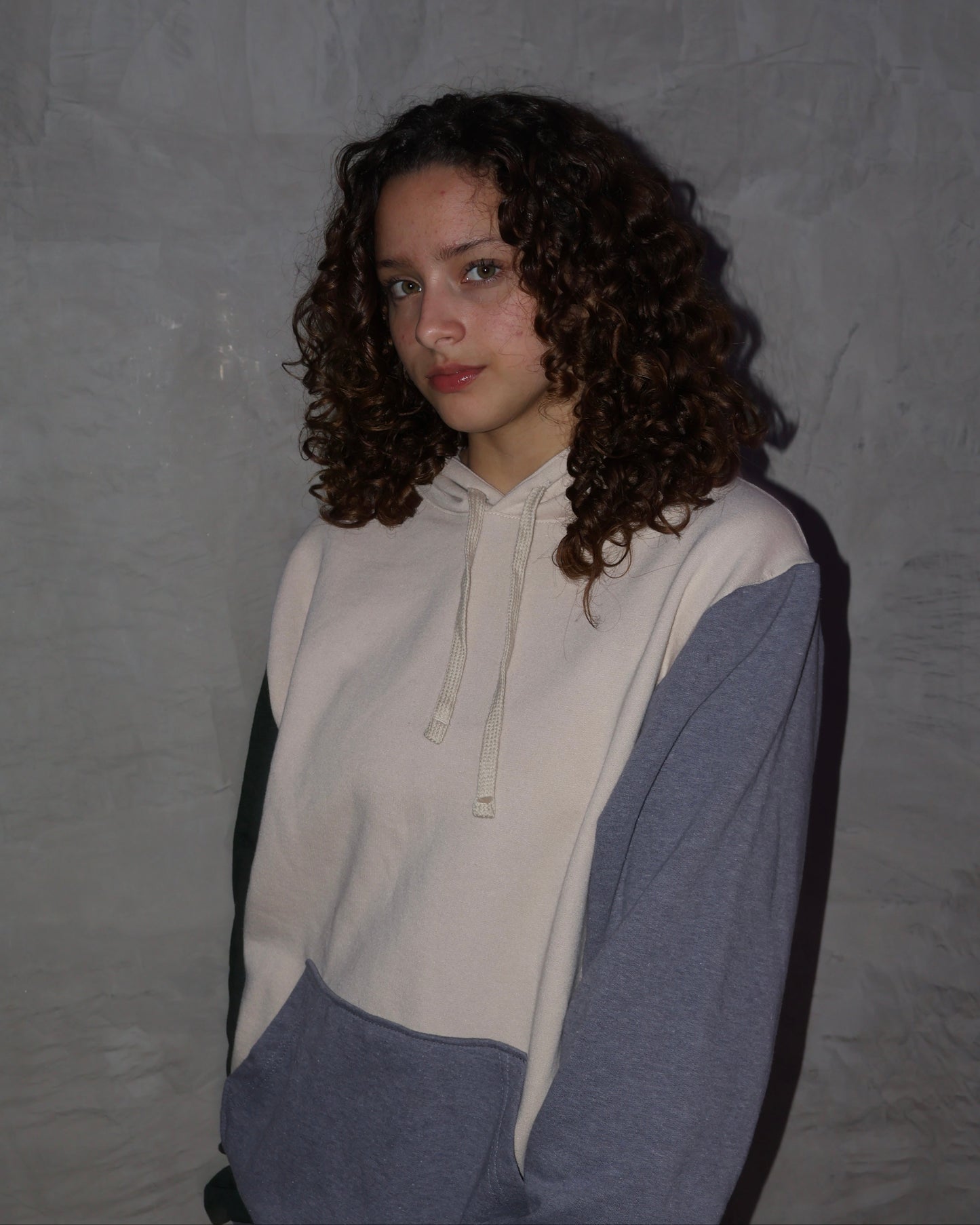 Picnic Hoodie
