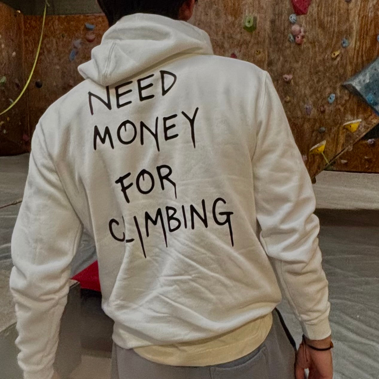Need Money For Climbing Hoodie